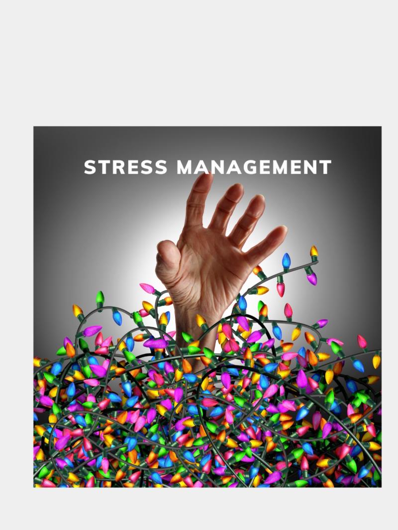 Leadership Laporte County Lunch & Learn on Stress Management